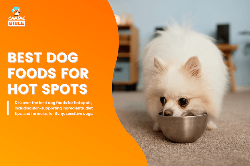 Best Dog Foods for Hot Spots
