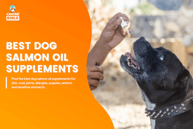 Best Dog Salmon Oil Supplements