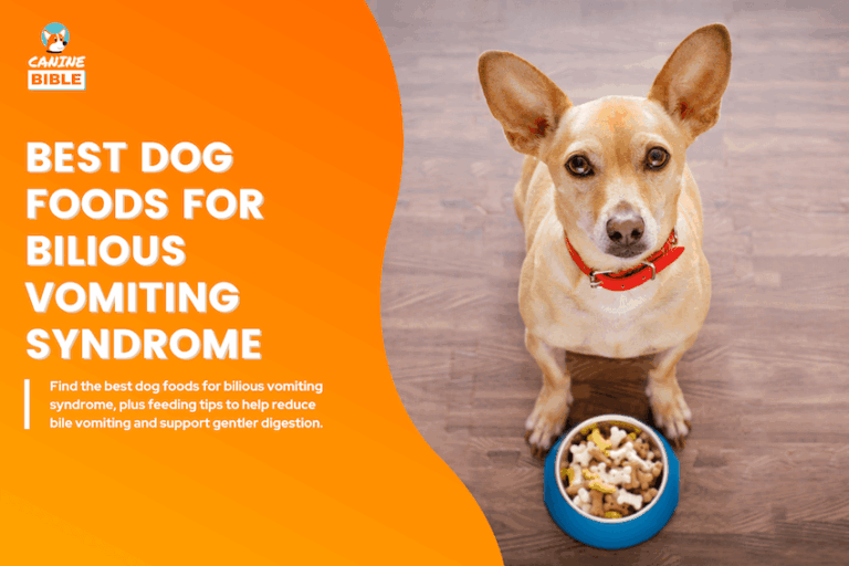 best dog food for bilious vomiting syndrome