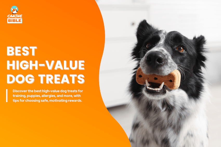Best High-Value Dog Treats