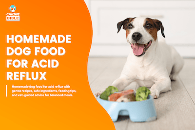 homemade dog food for acid reflux