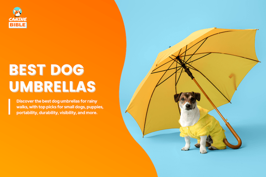 best dog umbrellas