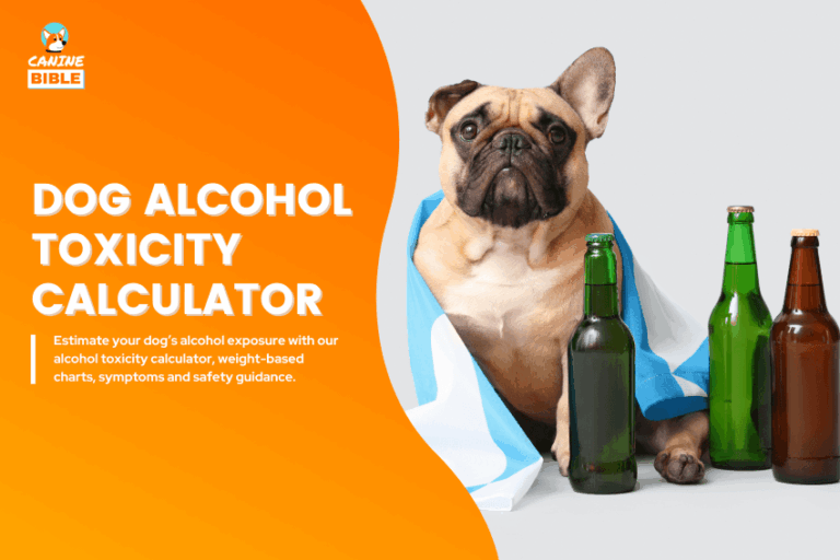 dog-alcohol-toxicity-calculator