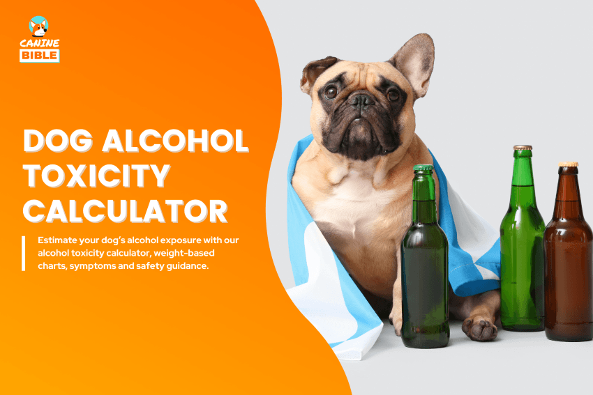 dog-alcohol-toxicity-calculator