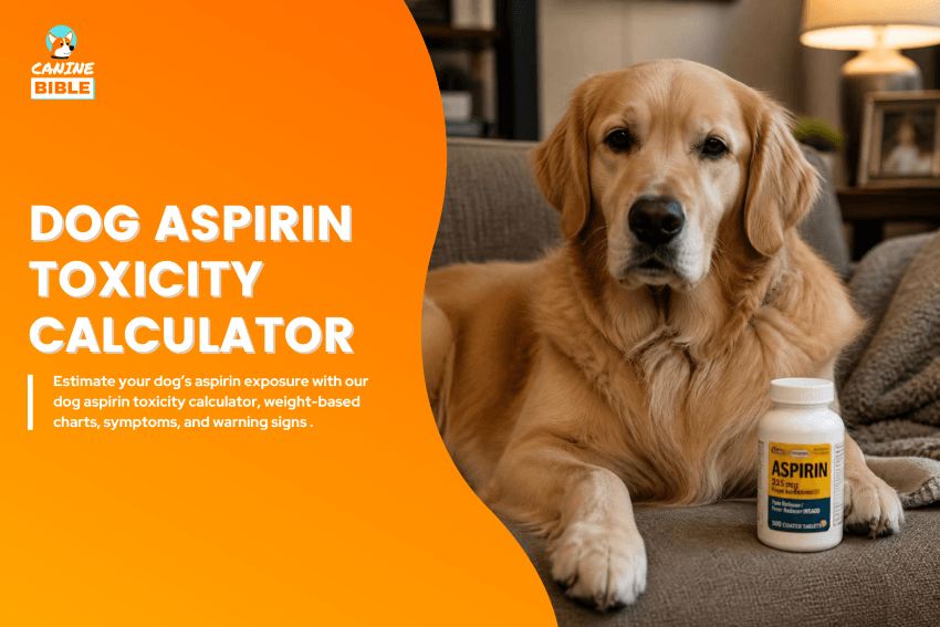 dog-aspirin-toxicity-calculator
