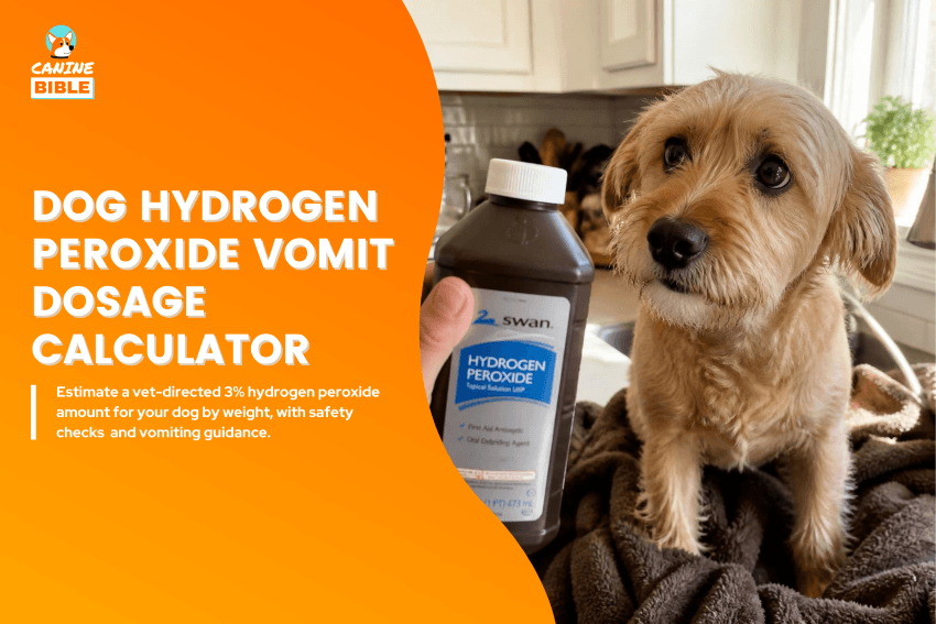 dog-hydrogen-peroxide-vomit-dosage-calculator