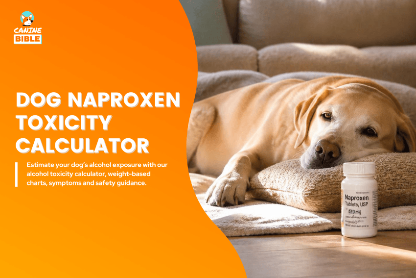 dog-naproxen-toxicity-calculator