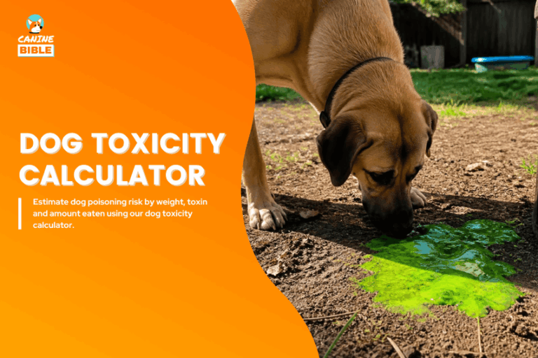 dog-toxicity-calculator