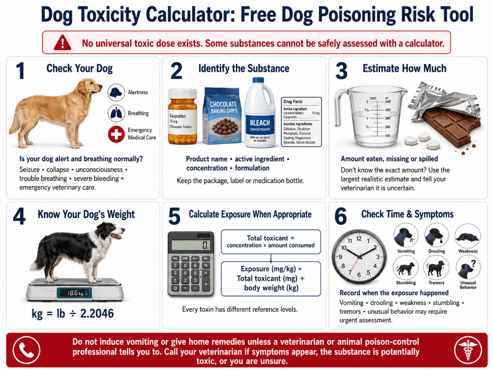 dog-toxicity-infographic dog-toxicity-infographic