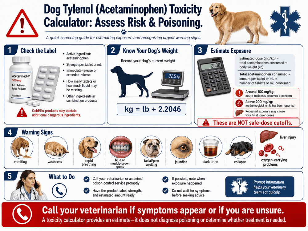 dog tylenol toxicity infographic dog tylenol toxicity infographic