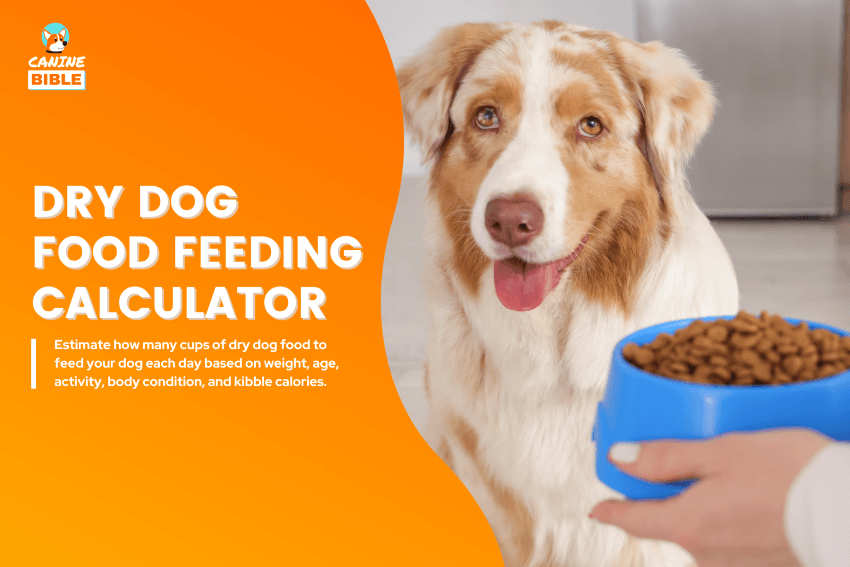 how-much-dry-food-should-i-feed-my-dog-calculator