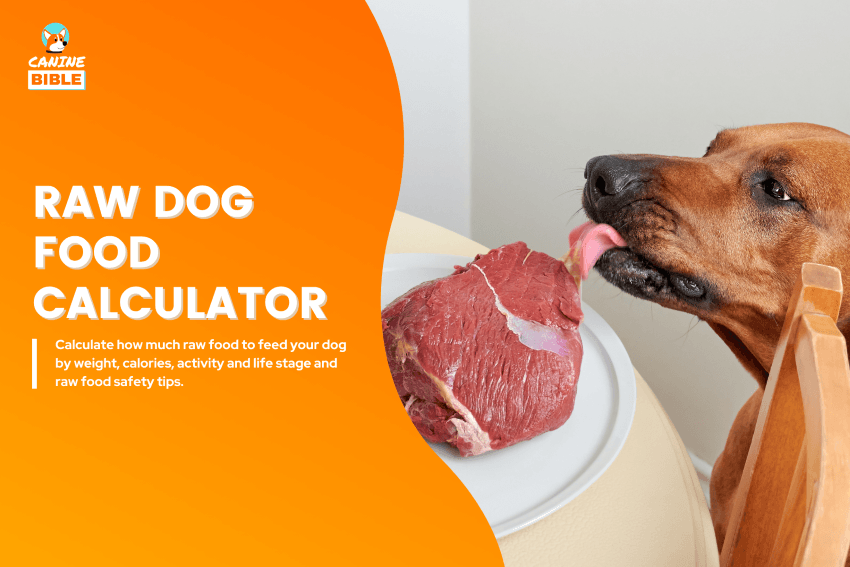 raw-dog-food-calculator