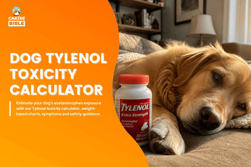 tylenol-dog-toxicity-calculator