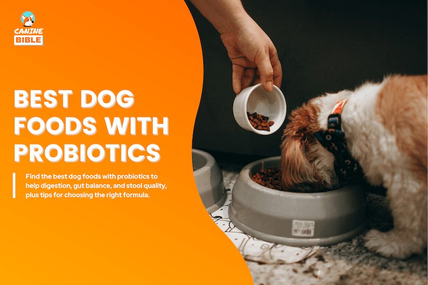 Best Dog Foods With Probiotics