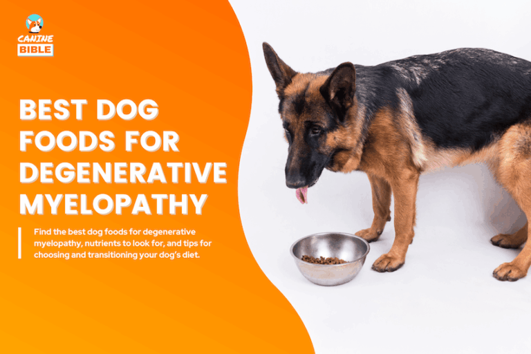 Best Dog Foods for Degenerative Myelopathy
