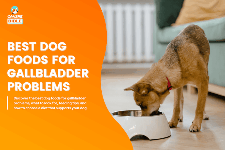 Best Dog Foods for Gallbladder Problems
