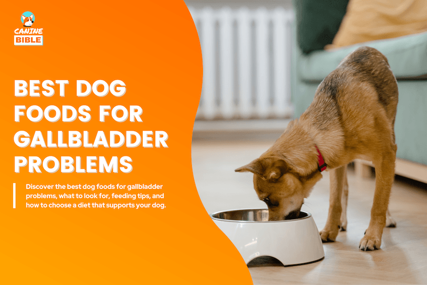 Best Dog Foods for Gallbladder Problems