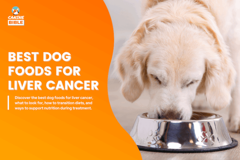 Best Dog Foods for Liver Cancer