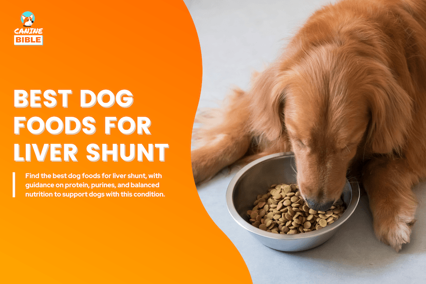 Best Dog Foods for Liver Shunt