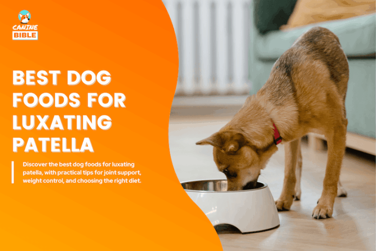 Best Dog Foods for Luxating Patella