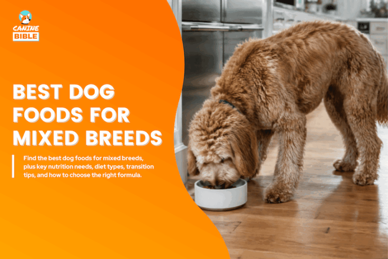 Best Dog Foods for Mixed Breeds