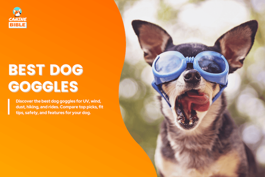Best Dog Goggles