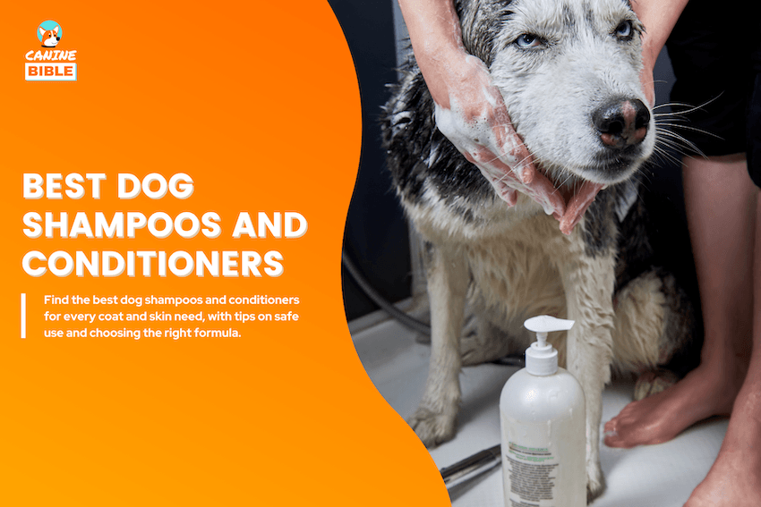 Best Dog Shampoo and Conditioner