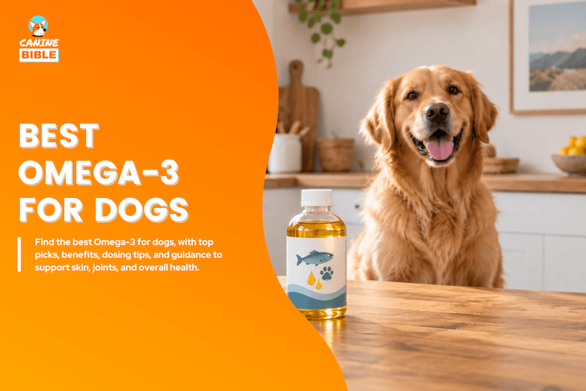 Best Omega-3 for Dogs