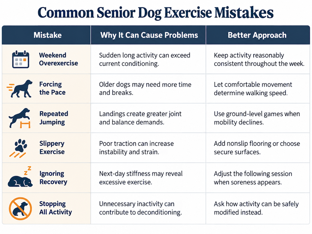 Common Senior Dog Exercise Mistakes