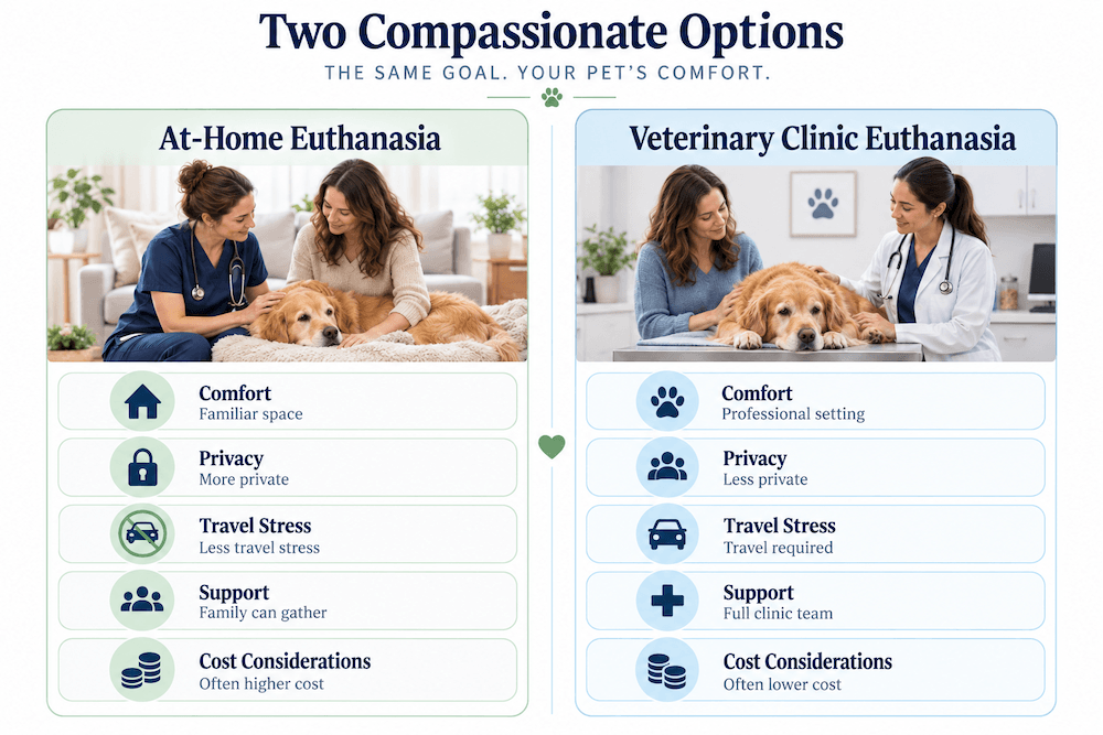 Compassionate Pet Care Options