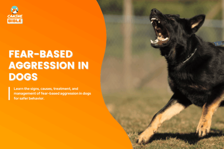 Fear-based aggression in dogs