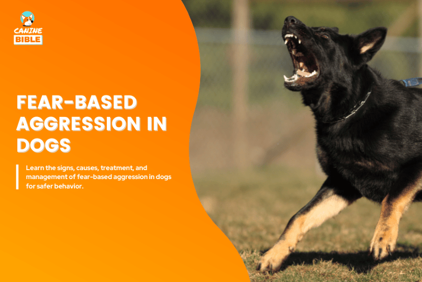 Fear-based aggression in dogs