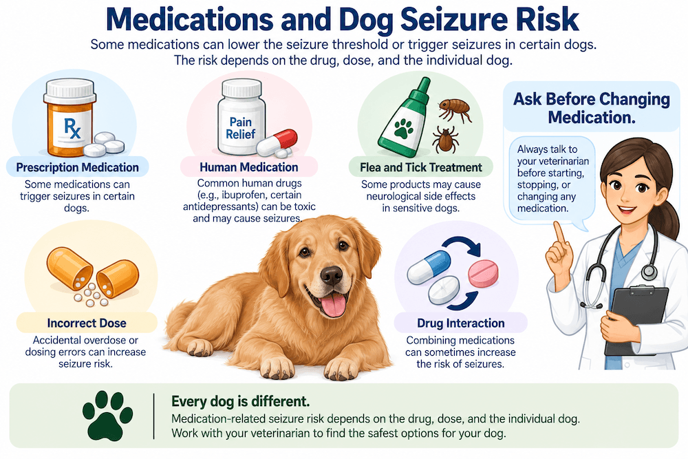 Medications and Dog Seizure Risk