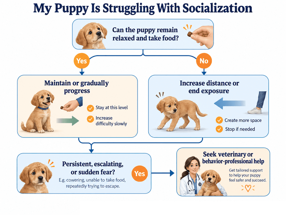 Puppy struggling with socialization