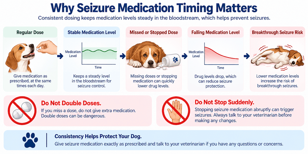Steady Doses, Safer Seizure Care