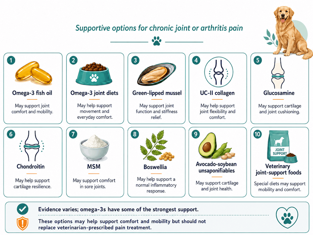 Supportive Options for Canine Joint Health