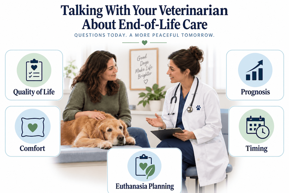 Veterinary Care Guide