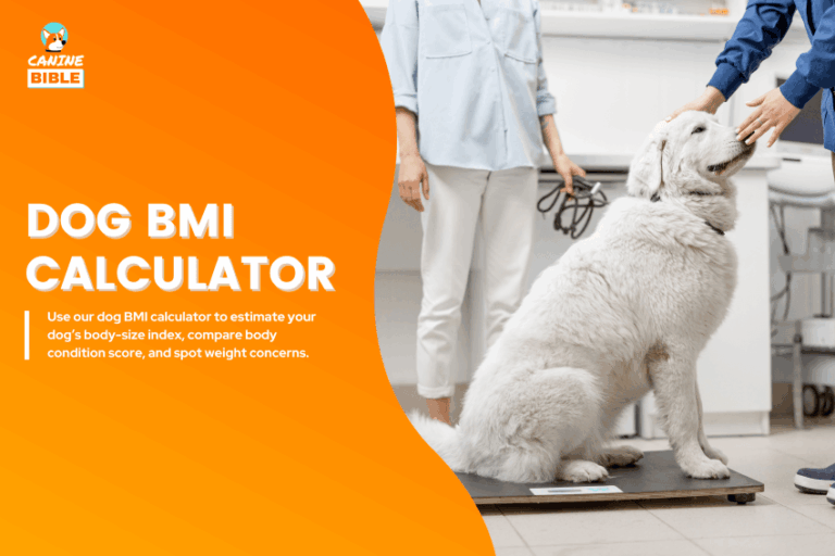 dog bmi calculator