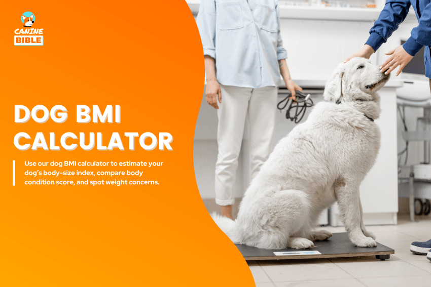 dog bmi calculator