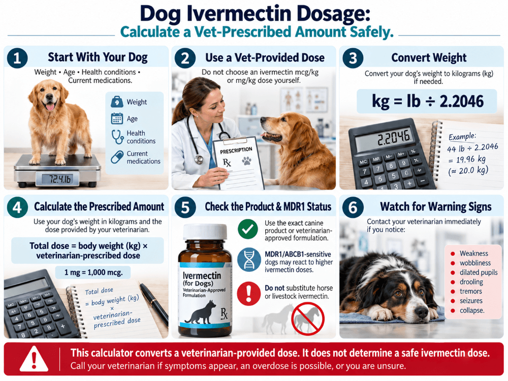 dog ivermectin dosage calculator infographic dog ivermectin dosage calculator infographic