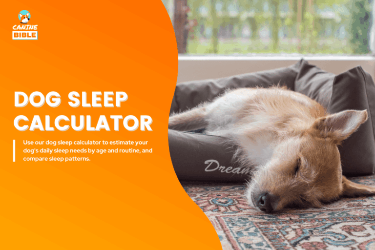 dog sleep calculator