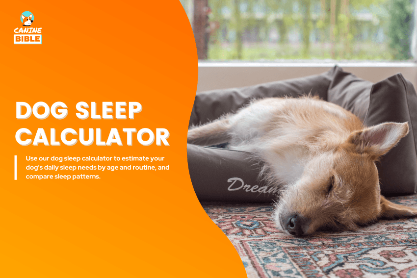 dog sleep calculator