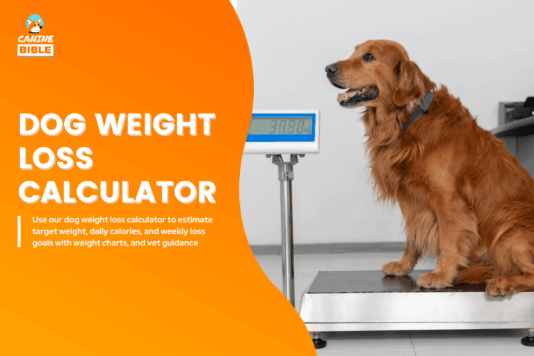 dog weight loss calculator