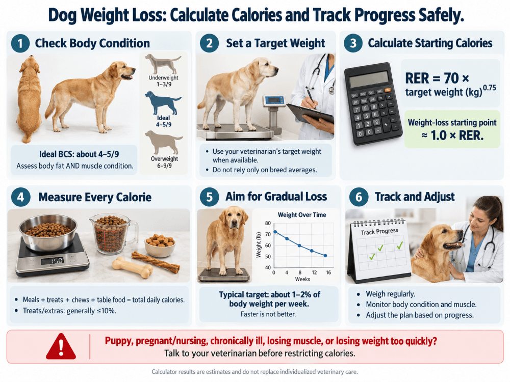 dog weight loss calculator infographic dog weight loss calculator infographic