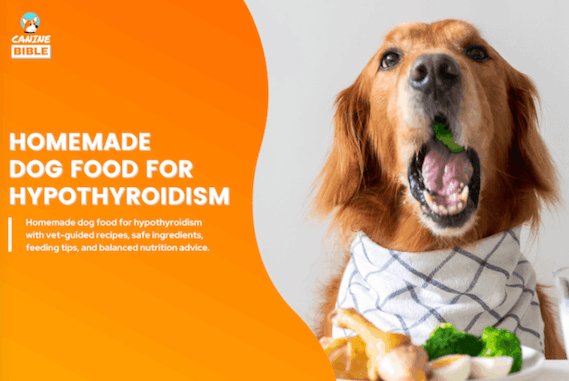 homemade food for hypothyroidism