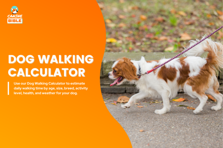 how long should i walk my dog calculator