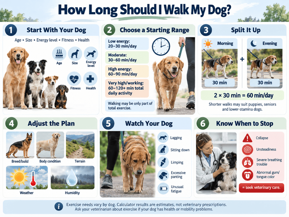 how long should i walk my dog infographic how long should i walk my dog infographic