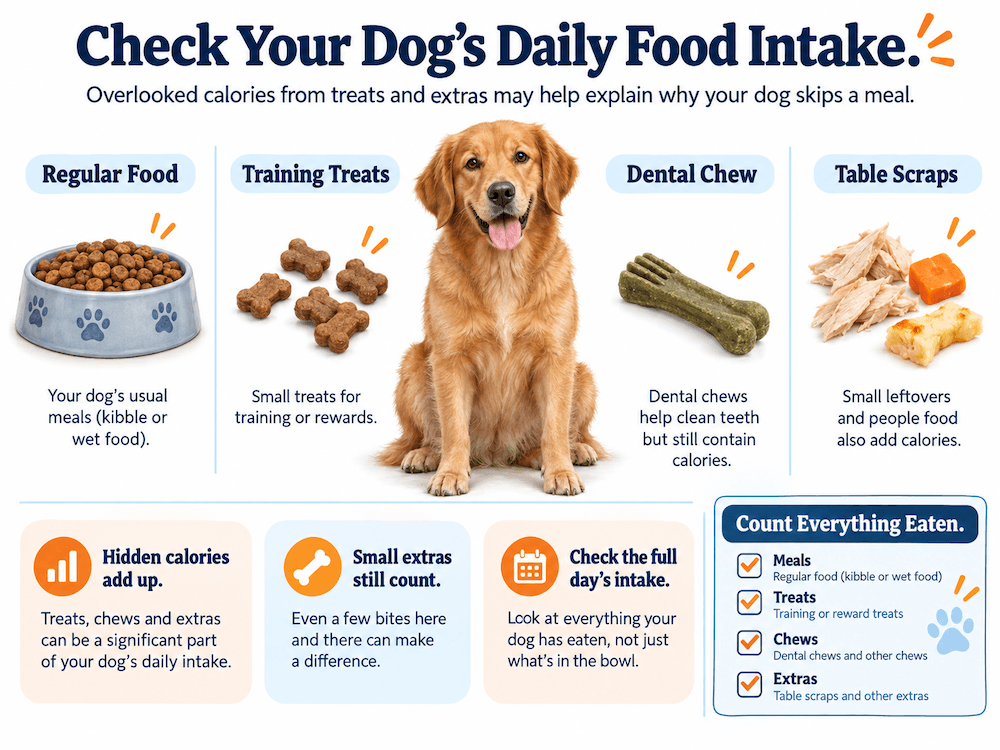 Check Your Dog's Total Food Intake