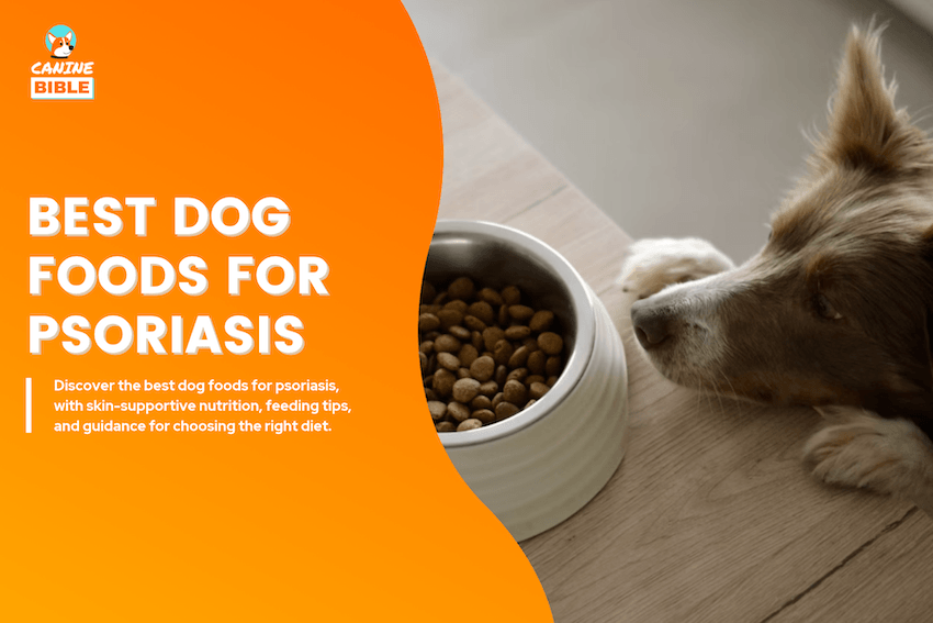 Best Dog Foods for Psoriasis