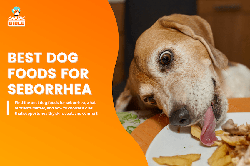 Best Dog Foods for Seborrhea